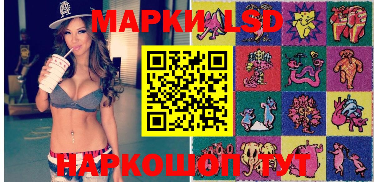 МЕФ Бугульма